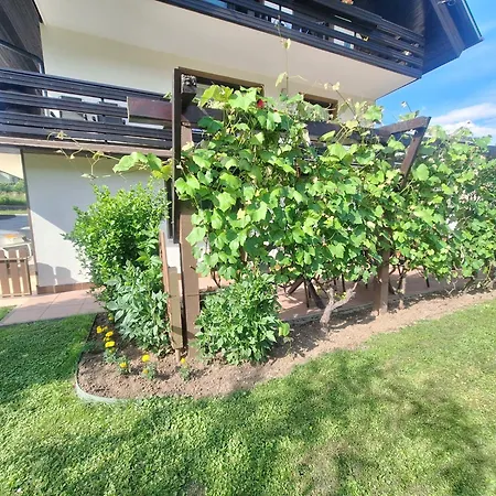 Apartma P&b Апартаменты *