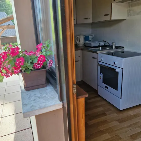 Apartma P&b * Bled