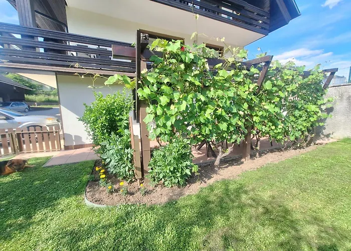 Apartma P&b Lejlighed *